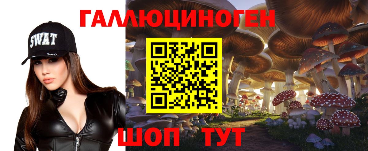 Псилоцибиновые грибы GOLDEN TEACHER Чебоксары