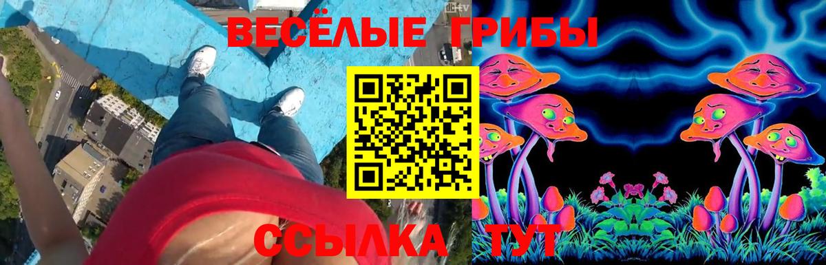 Чебоксары  Псилоцибиновые грибы Psilocybe  Вход с VPN 